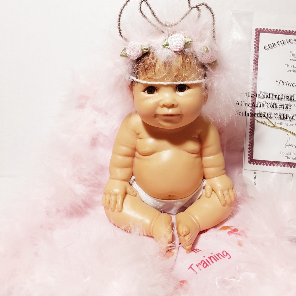Ashton -Drake "Princess 👸 in training" doll